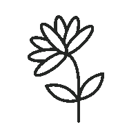motif plant