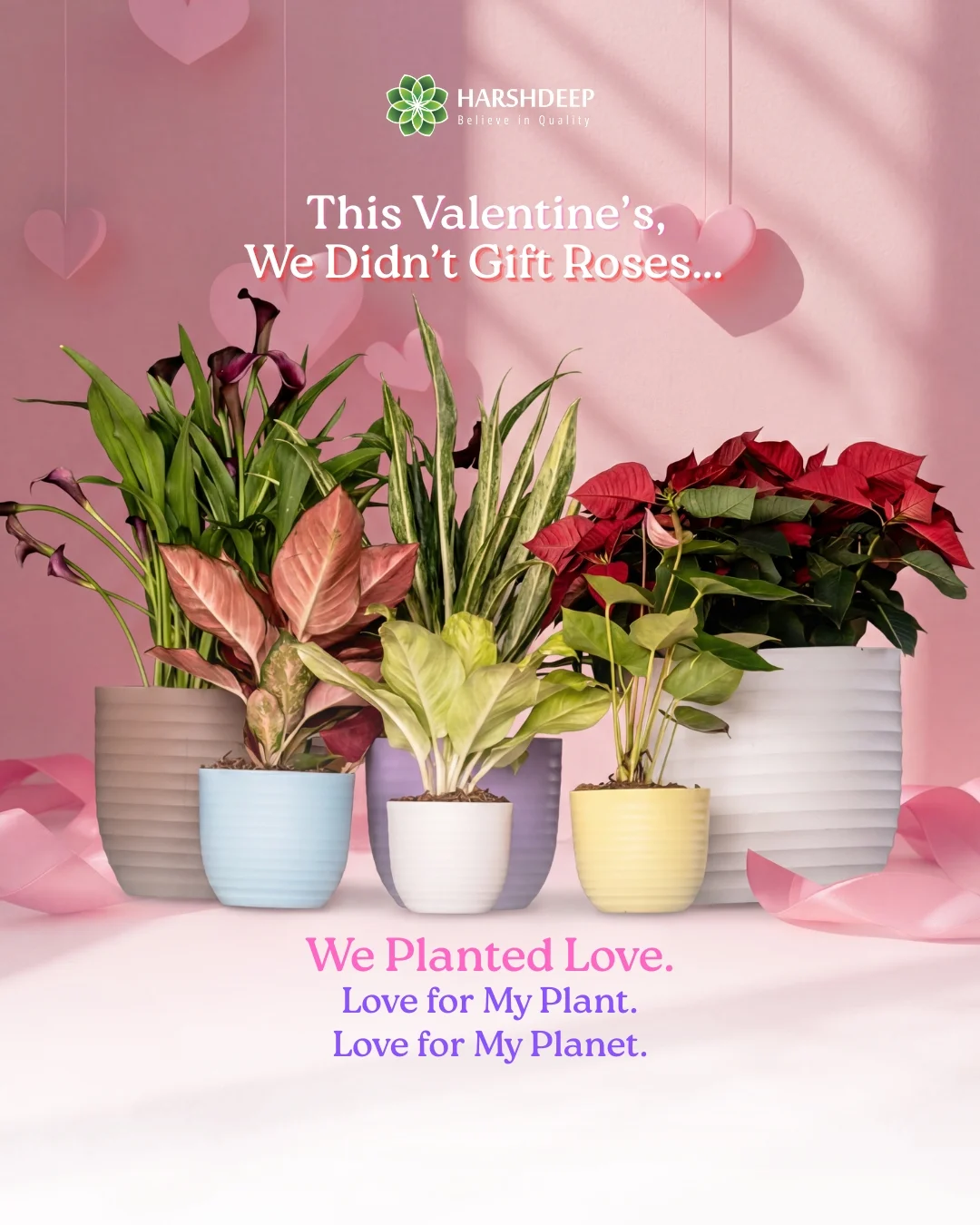 Valentine Campaign for Brand Marketing – Harshdeep India