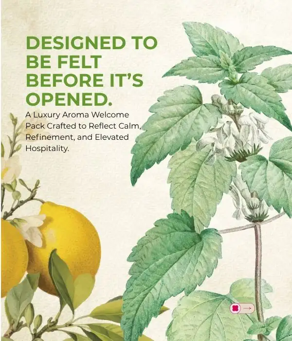 Luxury Packaging Design Case Study, Design Case Studies, Luxury Gift Hampers, Aroma Gift Hampers, Packaging Case Study, Pouch Design, Brij Design Studio